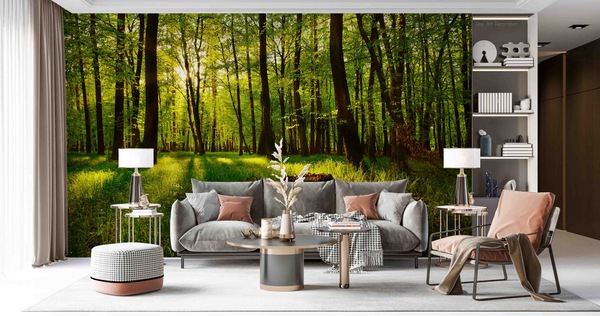 Buy 3D Plant Forest Green Sunshine Landscape Wall Mural Wallpaper LLL ...