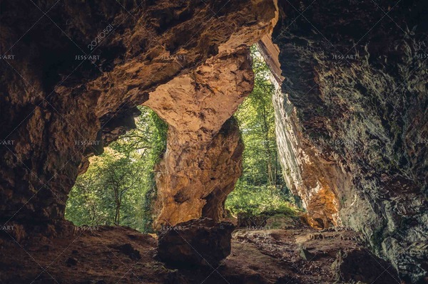 Image 5
