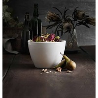 PILLIVUYT Eden Salad Bowl Small 16cm (1250ml)