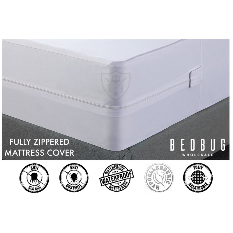 Buy Dust Mite, Allergy & Bed Bug Mattress Protector Cover