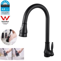 WELS Pull Out Kitchen Sink Mixer Tap 360?Swivel Kitchen Faucet Columnar Water Shower Water Round Black