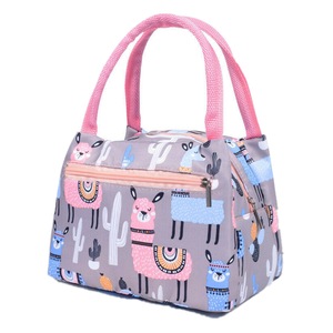 2 Pcs Lunch Bag Cooler Tote Portable Insulated Box Canvas Thermal Cold Food Container School Picnic For Men Women Kids Travel Lunchbox