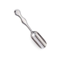 25 Pcs Stainless Steel Tea scoops Minimalist Teaspoon Tea Powder Scoop Flower Tea Spoons