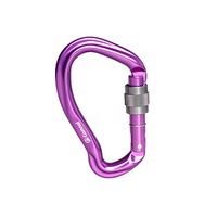 2PCS Mini Carabiner D Buckle Climbing Hunting Portable Aluminum Alloy Hanging Buckle PURPLE COLOR