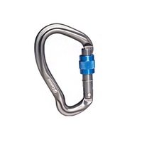 2PCS Mini Carabiner D Buckle Climbing Hunting Portable Aluminum Alloy Hanging Buckle SILVER COLOR