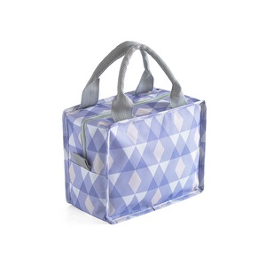 2Pcs Women Portable Lunch Bag Zipper Insulated Cooler Bag Waterproof Fresh Thermal Food Picnic Bag for Kids School Lunch Box Bag Tote