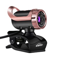 480P USB Electric Gram Wind Night Vision Brain HD Camera Video HD Free Drive with Wheat Suitable for Online Class Meeting-Gold