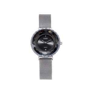 51010# Shiny Magnet Ladies Watch Trend Student Watch Waterproof Simple Casual INS Female Watch