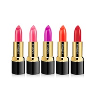 5PCS Enchanting Lipstick Moisturizing Lipstick Lasting Color Lip Gloss Not Easy To Fade Lip Gloss Makeup-2