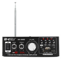 DC 12V AC 220V Car Radio Amplifier Car Amplifier Wth Remote Control