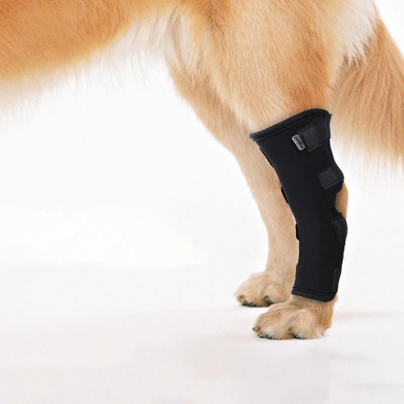 Pet Supportive Rear Knee Brace Dog Compression Leg Joint Wrap Protects Wounds and Injury