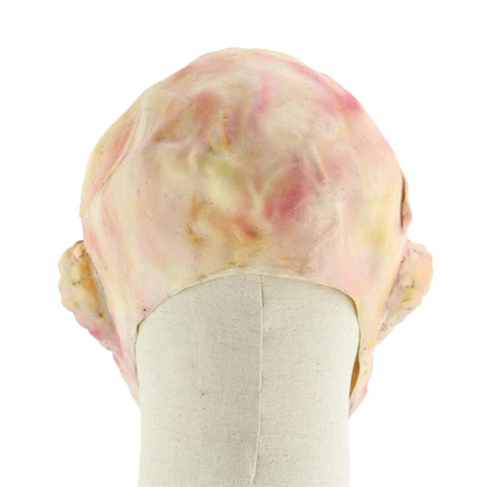 Image 4