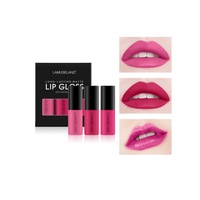 Matte Liquid Lip Stick Set Mini Lip Gloss Travel Kit Long-Lasting Waterproof - A