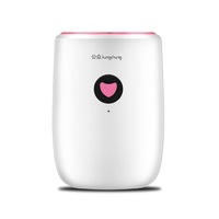 Mini Mute Dehumidifier Bedroom Dryer Office Dehumidifier Basement Dehumidifier Household Dehumidifier