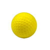 Pack of 10 Outdoor Training Ball for Adults Children Golf PU Ball Pet Toy Balls