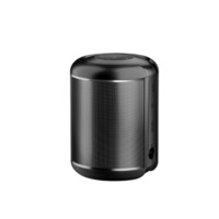 Portable High Volume Bluetooth Speaker Super Subwoofer Small Audio Home AI Wireless Mini Steel Cannon