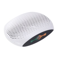 Portable Household Wardrobe Piano Moisture-proof Dehumidifier Air Moisturizing Dryer Moisture Absorber, UK Plug (White)