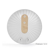 Portable Mini Ultrasonic Dishwasher USB Rechargeable Dishwasher Fruit Cleaner High Pressure Wave Dishwasher-Gold