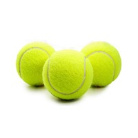 Professional Training Tennis Balls Elasticity Practice Ball