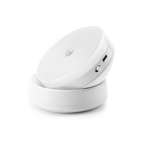 Rechargeable Motion Sensor Night Light Warm LED Closet Light with Adjustable Brightness for Wall