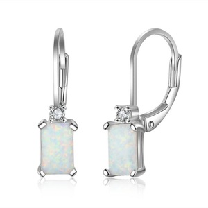 Silver plating Earrings Rectangular Earrings Fine Jewelry Accessories