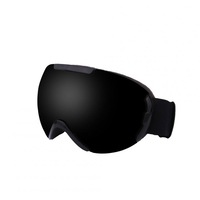 Ski Goggles with Large Spherical Double Layers Antifog Goggles Climbing Goggles for Women and Men Black frame black film