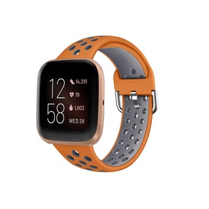 Smart Watch Wristband 2-color Silicone Strap Reverse Buckle Watch Band for Fitbit Versa 2 1-6