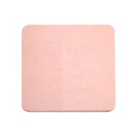 Toilet Bathroom Quick-drying Non-slip Diatom Mud Ground Mat Non-slip Bath Shower Bathtub Mat-Pink