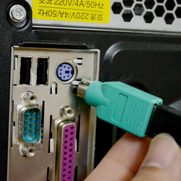Image 4