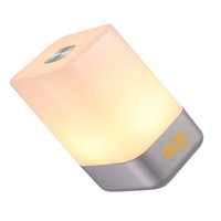 Wake-Up Light Bedside Lamp Alarm Clock with Sunrise Simulation, 5 Natural Sounds, Rechargeable, Touch Sensor Multicolor Dimmable Night Ligh