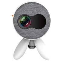 YG220 Mini HD Home Entertainment LED Projector Support 1080P 800lumens HDMI USB AV Interface Home Theater