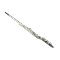 16-Key C Flute Nickel Plated Student Beginner Hard Case 1910FL