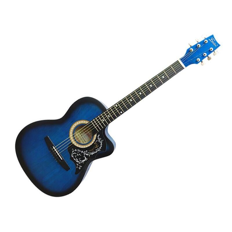 stylish guitar price