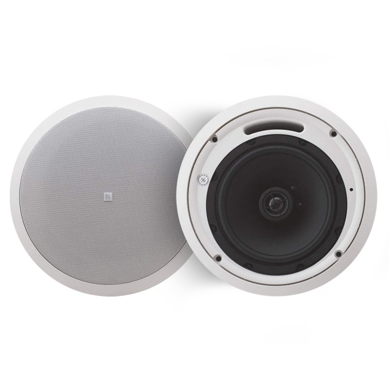 A closer look at Luxury Apartment Ceiling Mounted Speakers