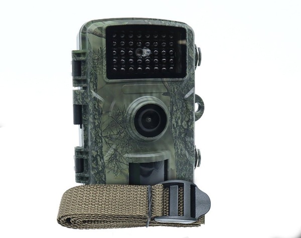 Image 5
