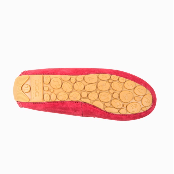 Image 11