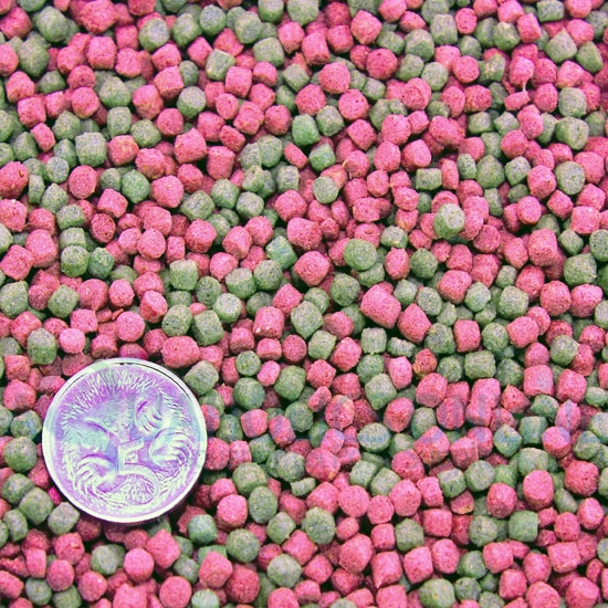 Koi sales pellets bulk