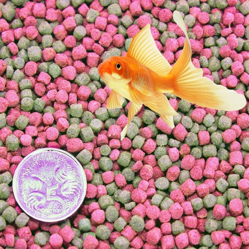 Tropical fish hot sale food bulk