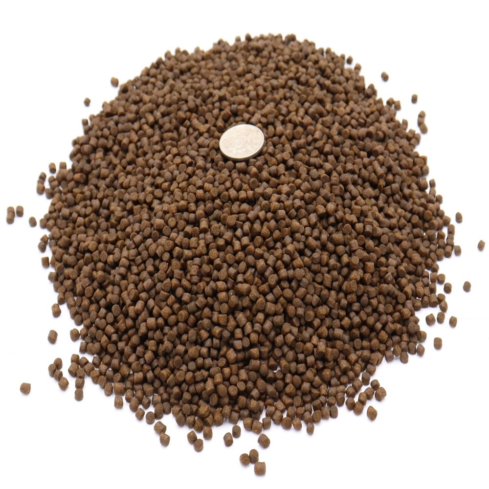 Buy Aquarium Fish Food Sinking Pellets 4Kg Premium Cichlid Tropical ...