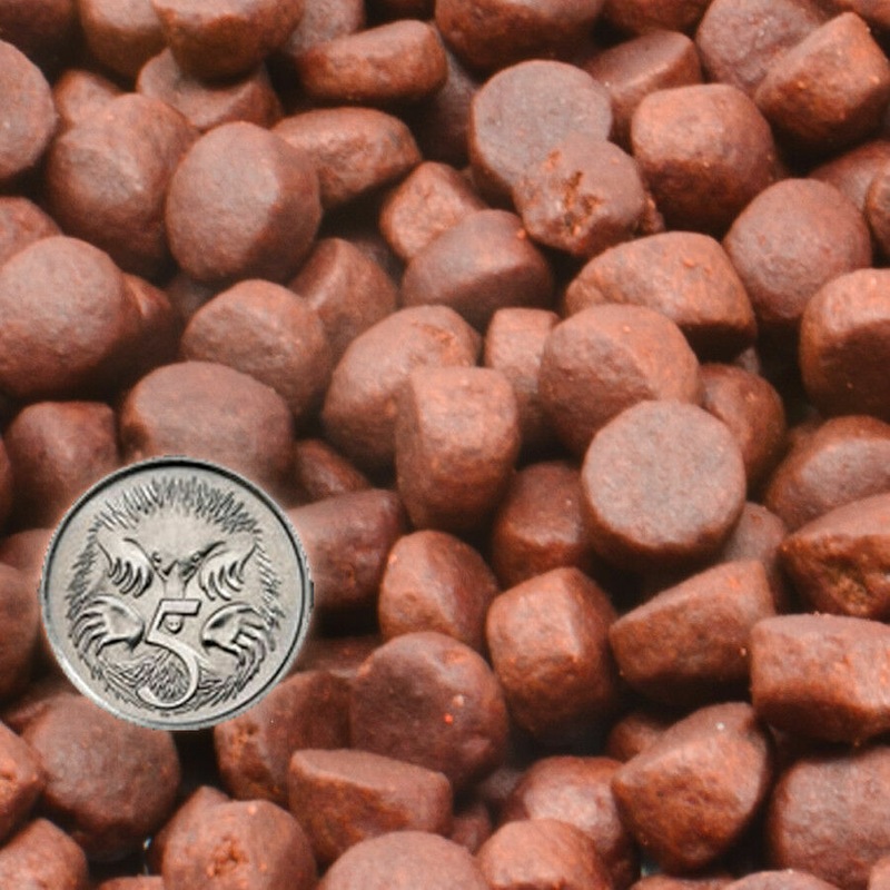 Buy Fish Food Pellets Bulk Goldfish Koi Tropical Fish 9mm Floating