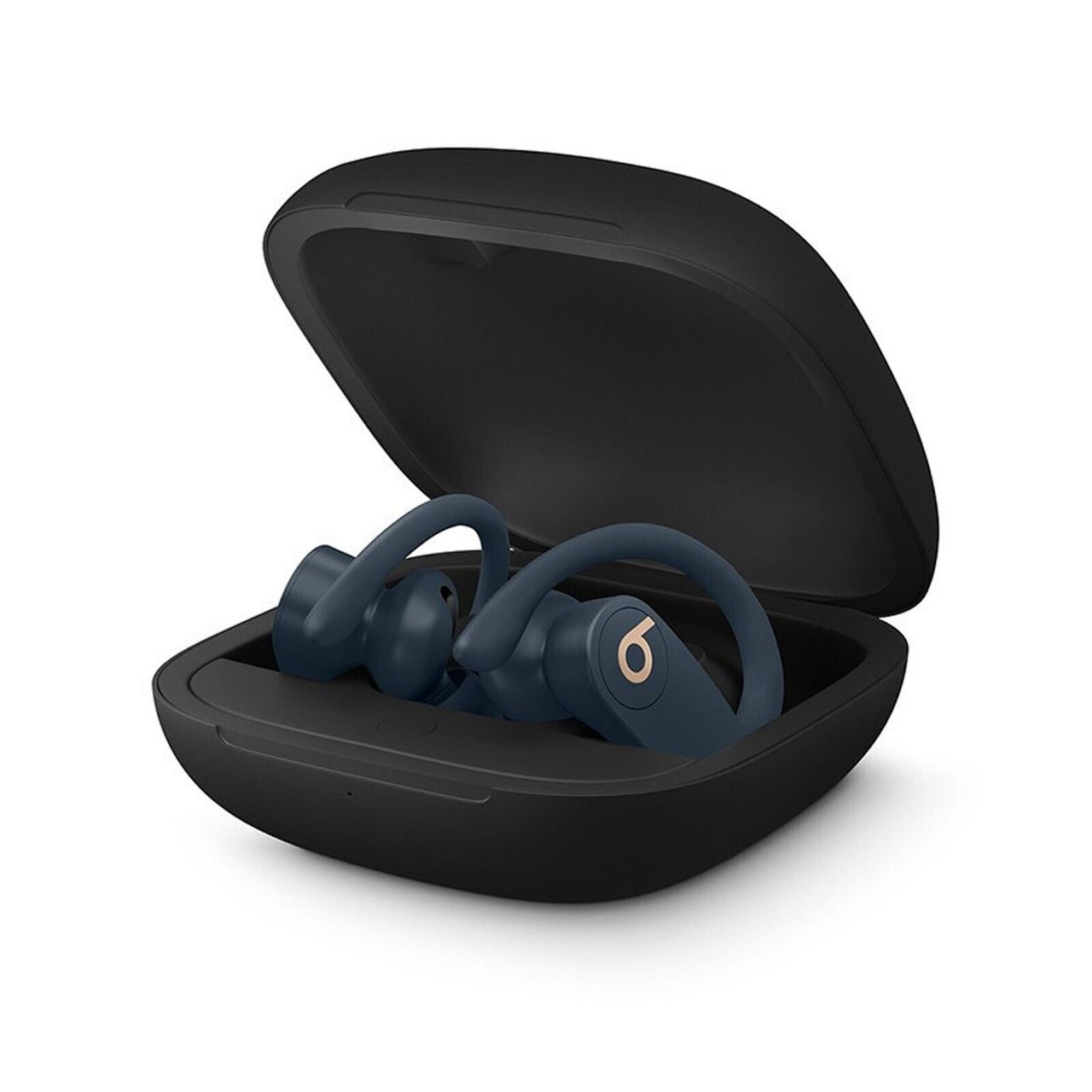 Buy Beats Powerbeats Pro Wireless Earphones MyDeal