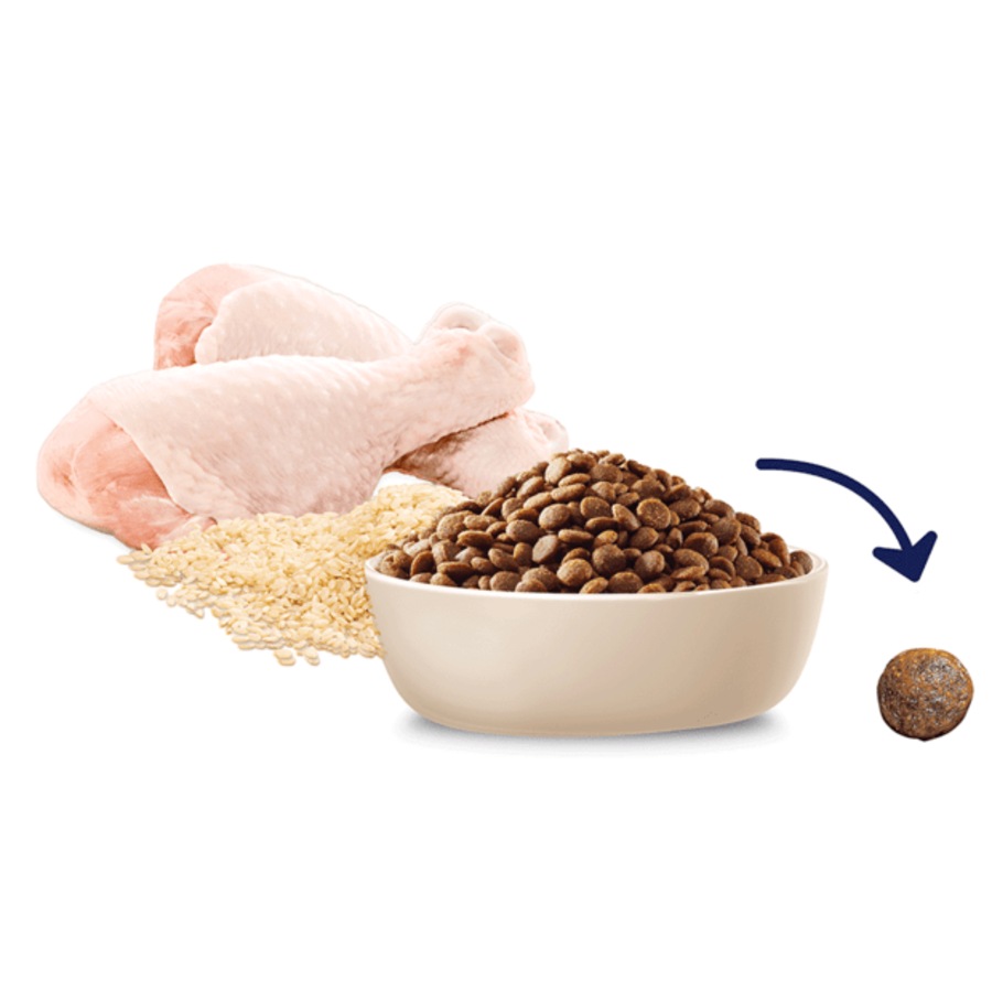 Advance 3kg Puppy Medium Breed Dry Dog Food - Chicken Flavour