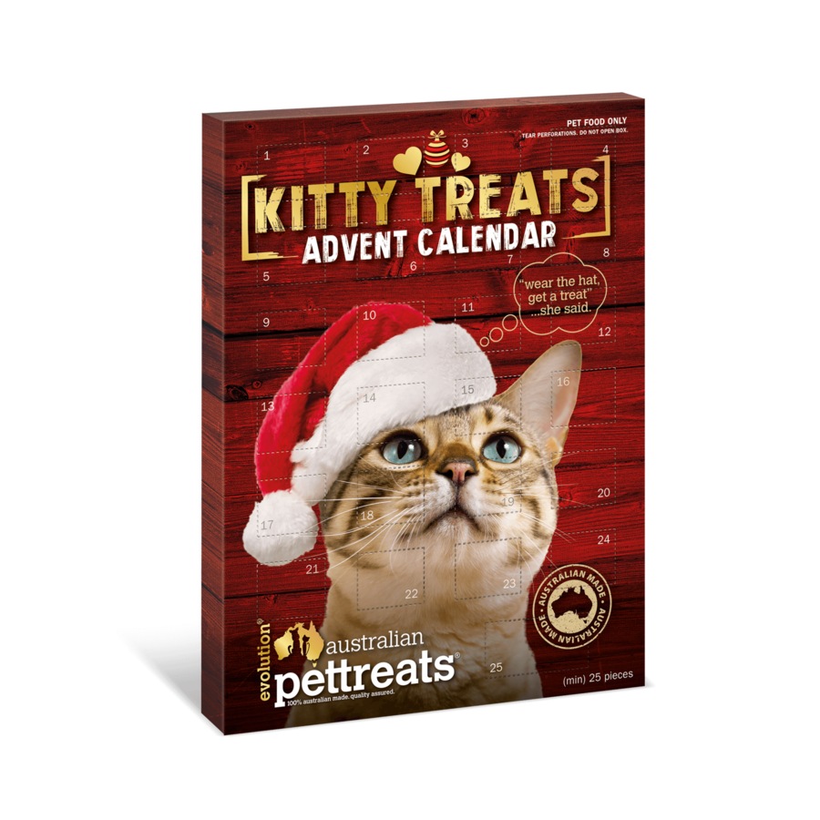 Advent Calendar for Cats & Kittens with Christmas Feline Treats Chicken & Turkey Flavour