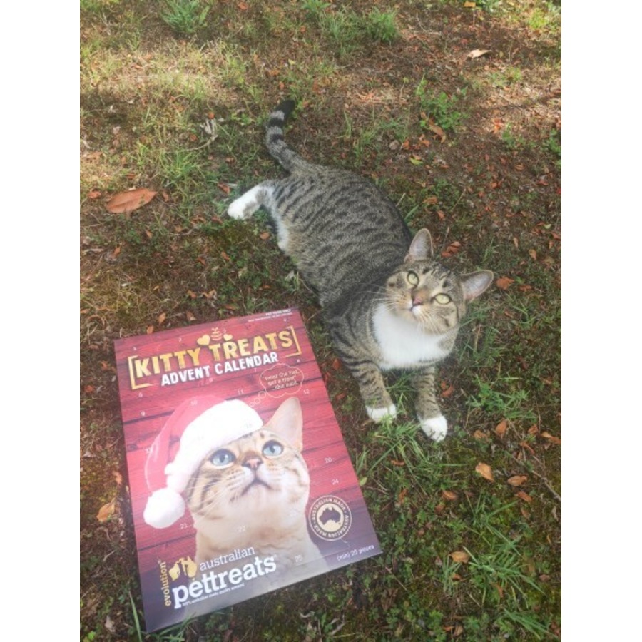 Advent Calendar for Cats & Kittens with Christmas Feline Treats Chicken & Turkey Flavour