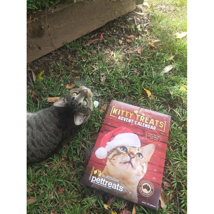 Advent Calendar for Cats & Kittens with Christmas Feline Treats Chicken & Turkey Flavour