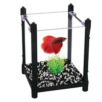Betta Fighting Fish Black Arc Tank 1L Beginners tank by Aqua One