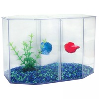 Duo 2 Litre Plastic Siamese Fighter Fish Tank by Aqua One - 10.5cm x 12.5cm x 11cm