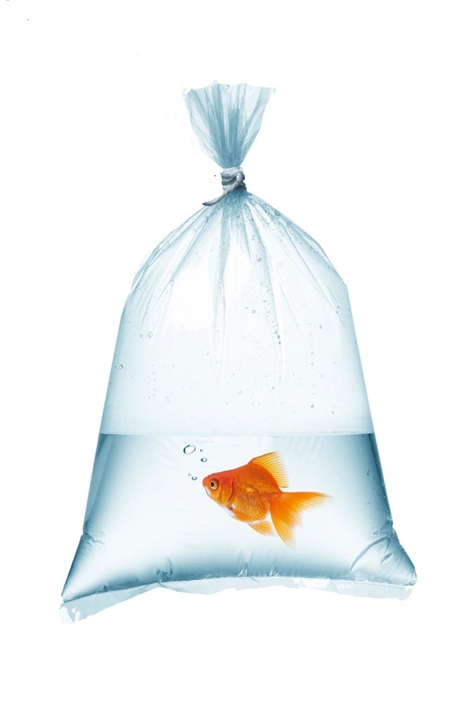 Aquarium Fish Transportation Bag - Medium - Single (22x45cm)