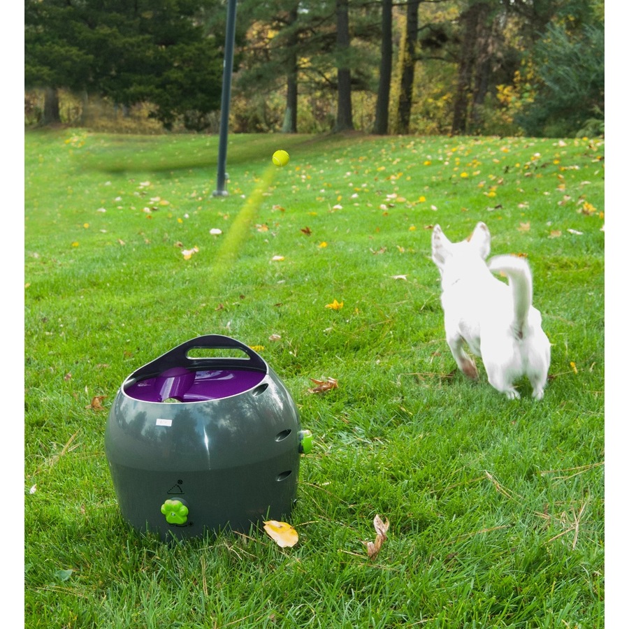 Automatic Ball Launcher Electronic Toy for Dogs (PTY17-15849) PetSafe