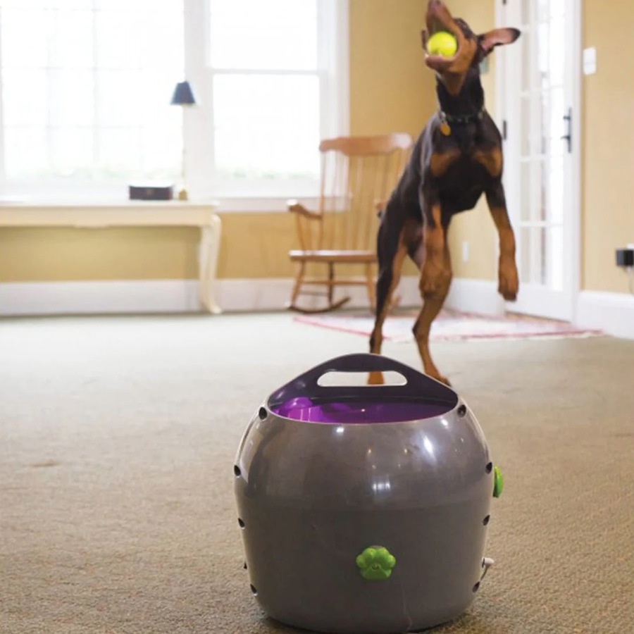 Automatic Ball Launcher Electronic Toy for Dogs (PTY17-15849) PetSafe